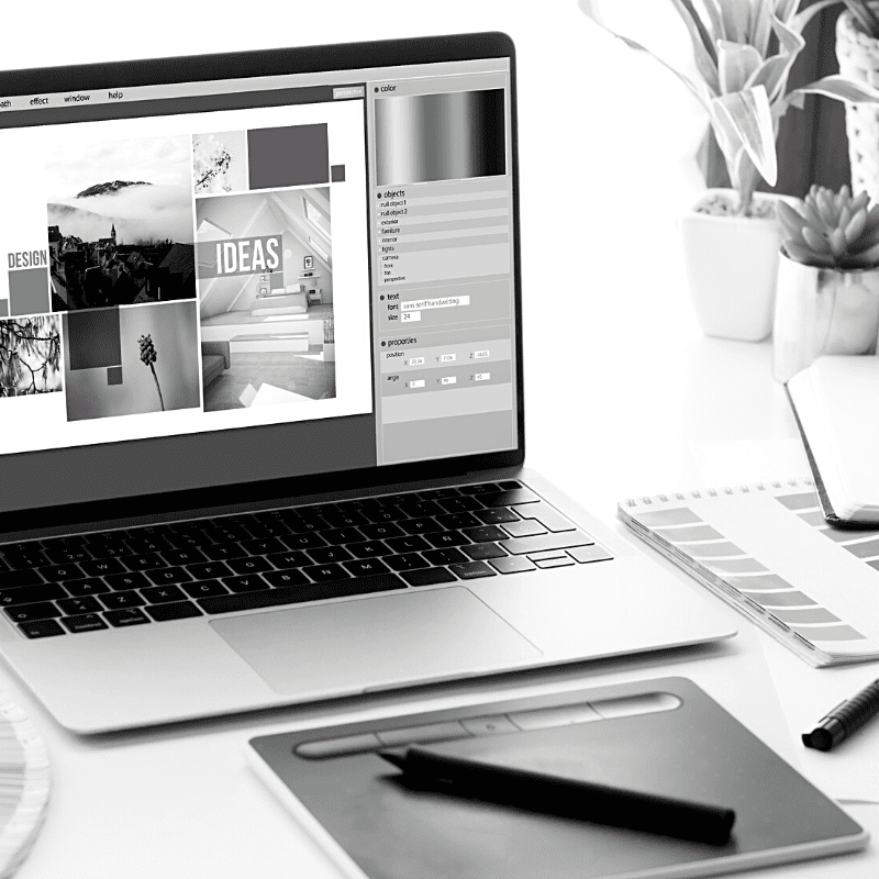 grafica web
